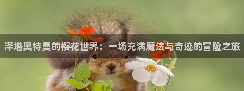 omofun最新版
