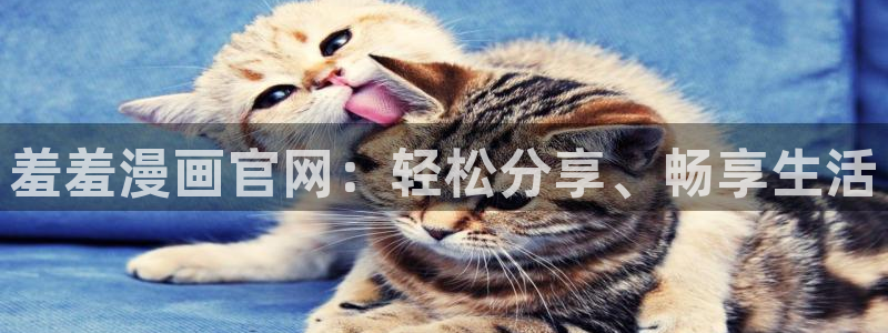 omofun网页入口
