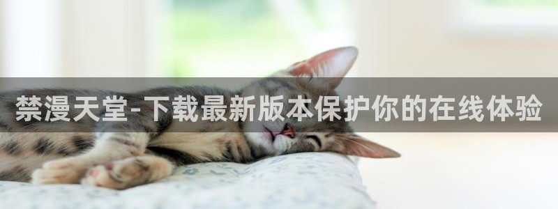 风车动漫免费下载