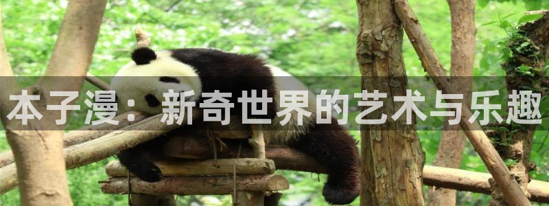 风车动漫