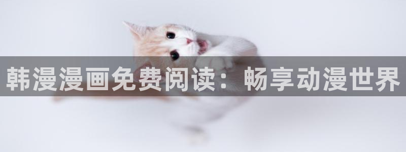 omofunapp官网下载