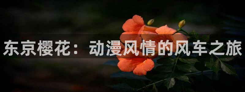 新版omofun下载