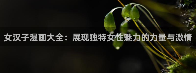 风车动漫下载链接