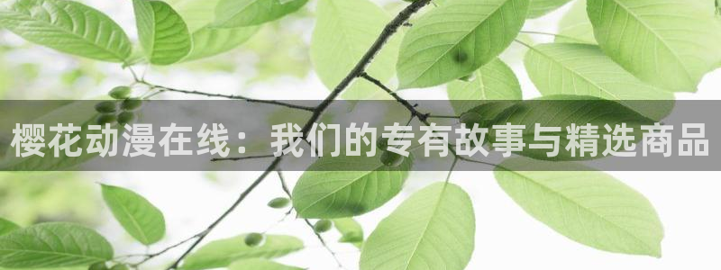风车动漫网址