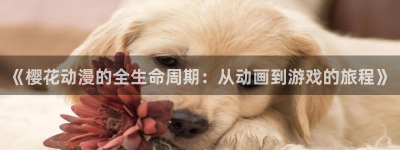 omofun免费下载