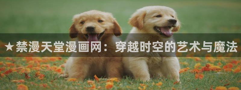 omofun动漫官方官网