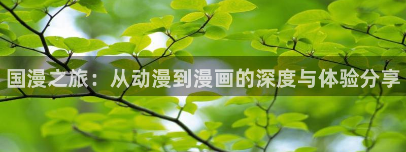 风车动漫app下载