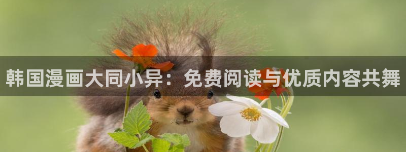 omofun电脑版