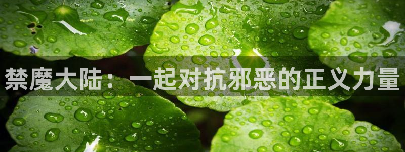 omofun弹幕网