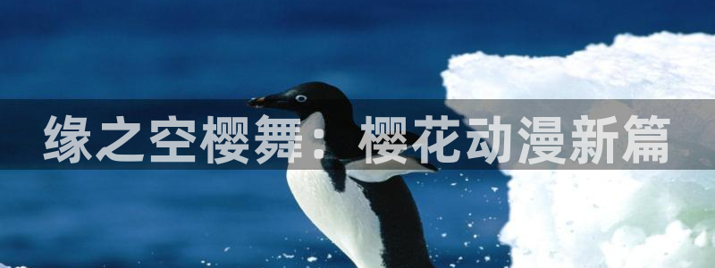 omofun.com：缘之空樱舞：樱花动漫新篇